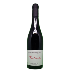 Frédéric Aublanc - Tentation